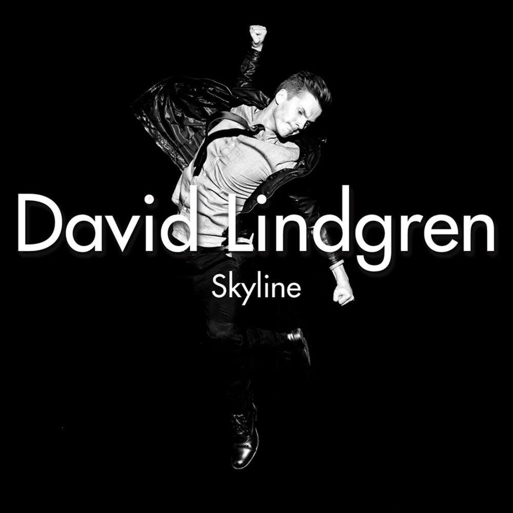 Picture of Skyline (Remixes)