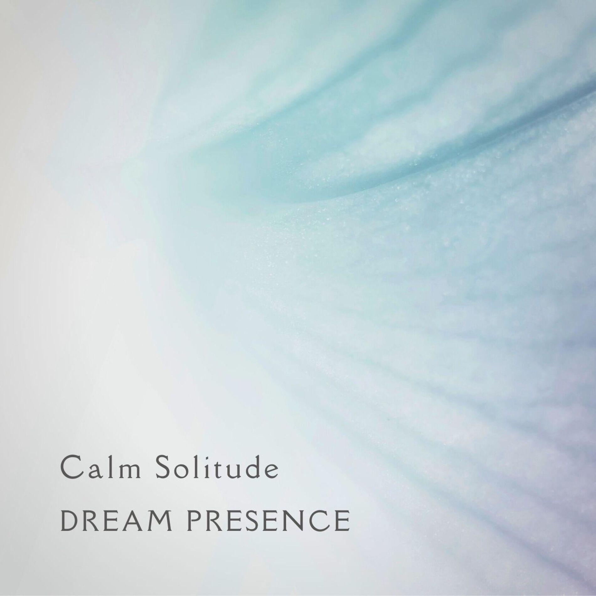 Album cover of Calm Solitude