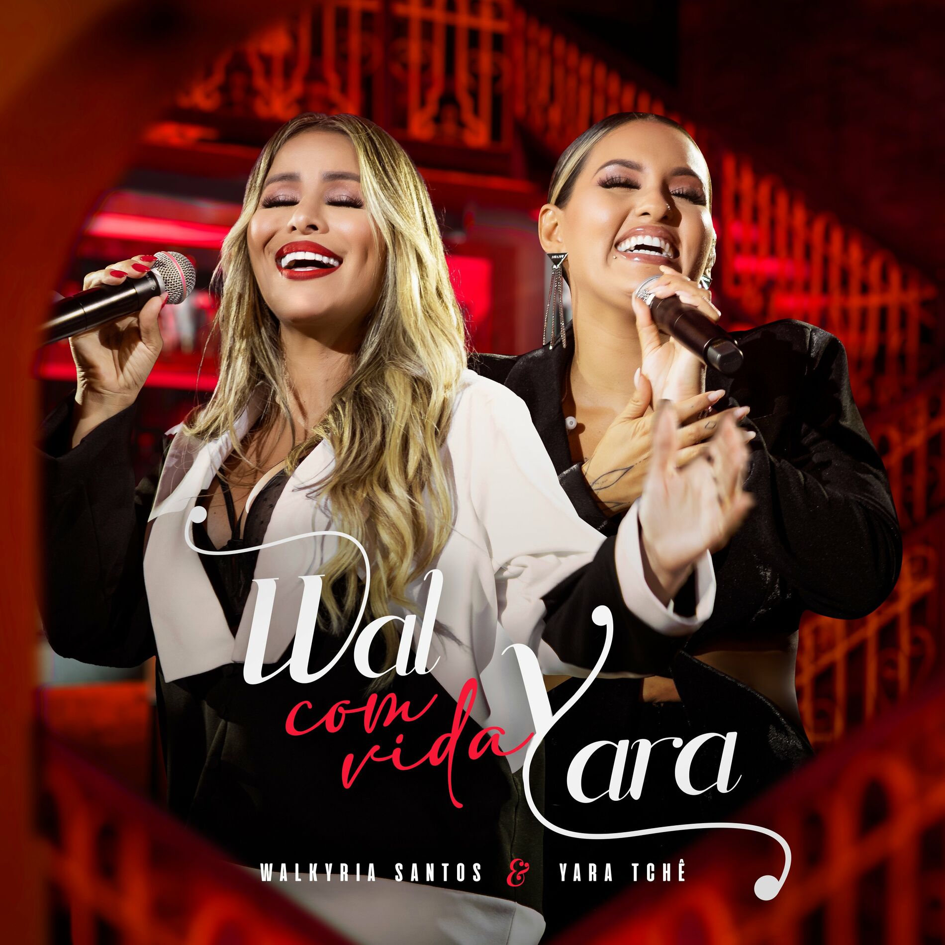 Album cover of Vida Vazia