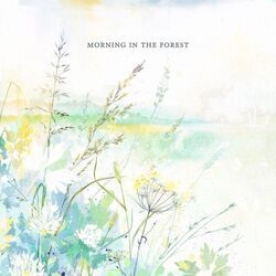Cover of Morning in the Forest