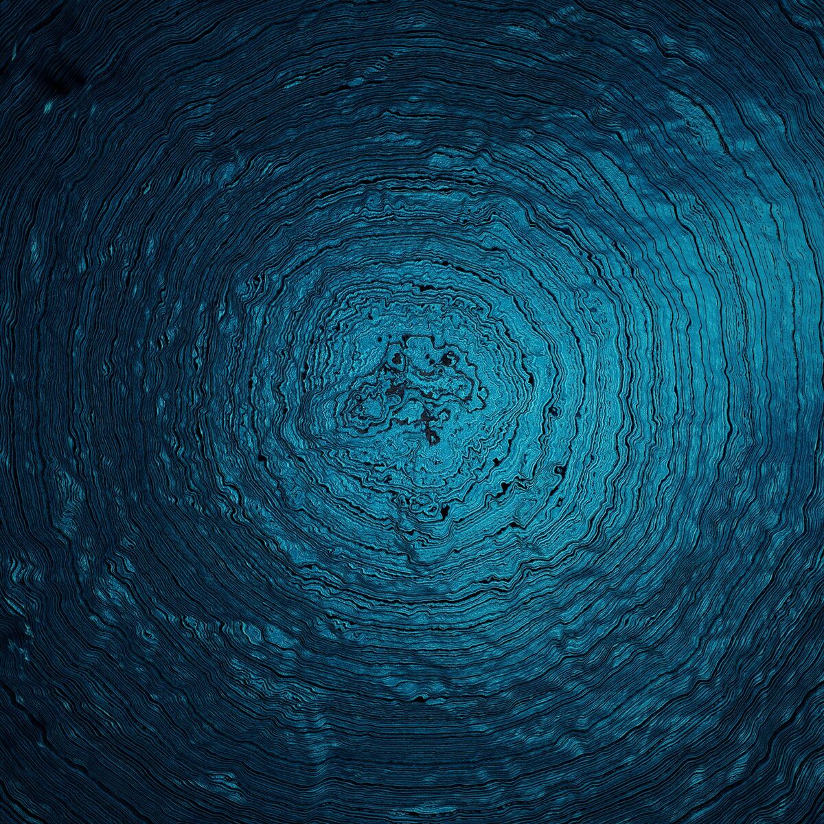 Album cover of Woven Song