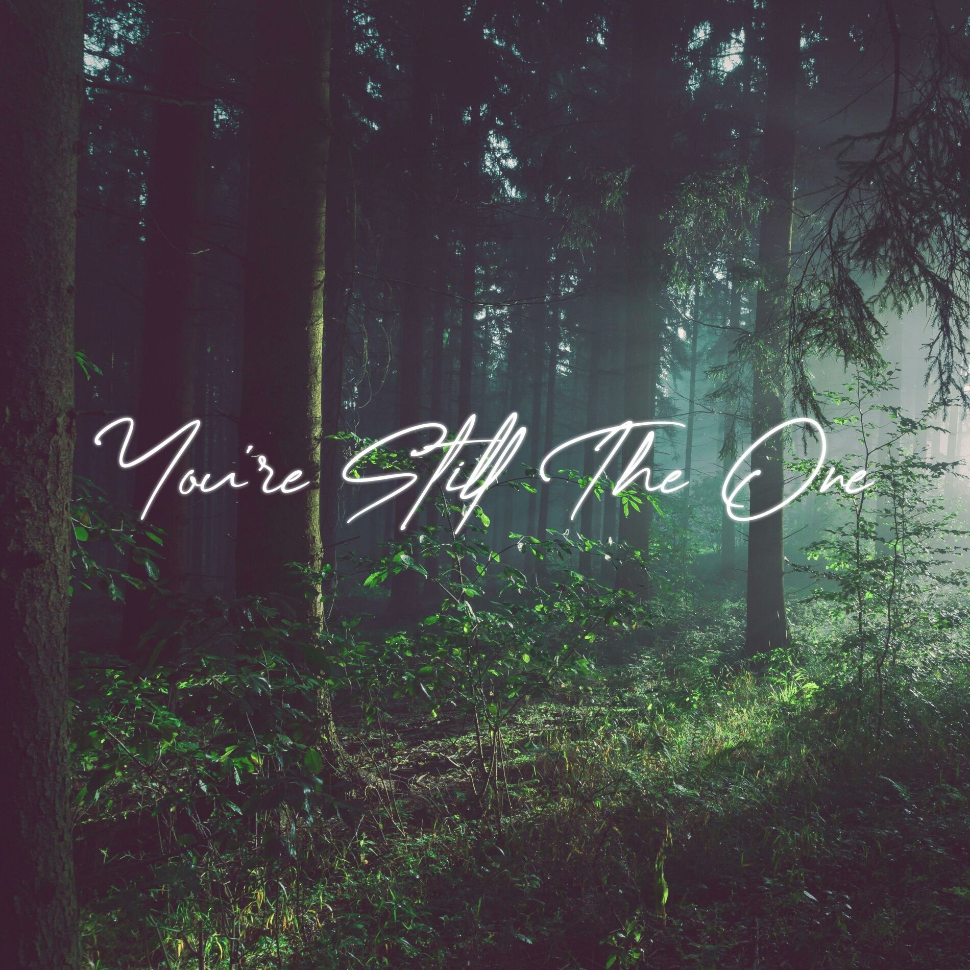 Album cover of You're Still The One (Acoustic Instrumental)