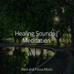 Healing Sounds | Meditation
