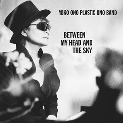 Cover of BETWEEN MY HEAD AND THE SKY