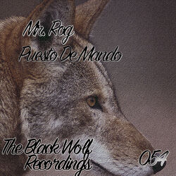 Cover of Puesto De Mando