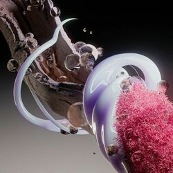 Cover of Starlit EP