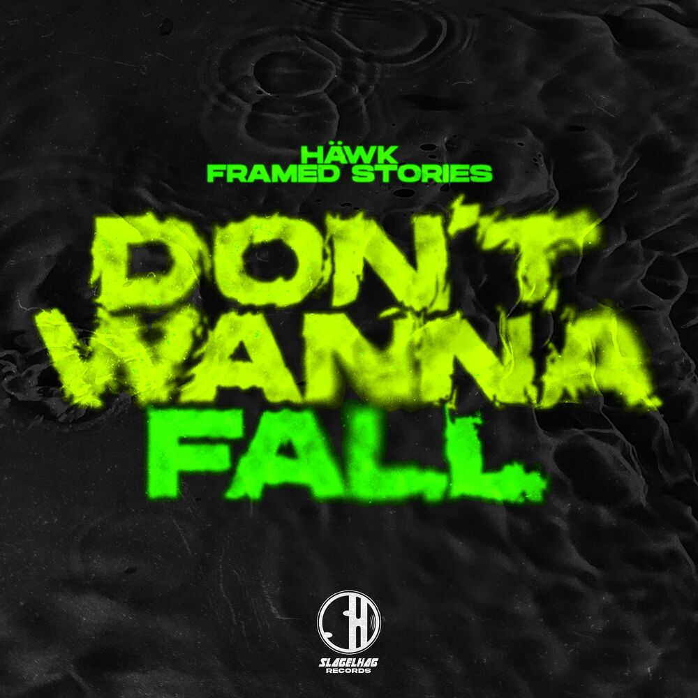 Picture of Don't Wanna Fall
