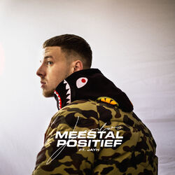 Cover of Meestal Positief