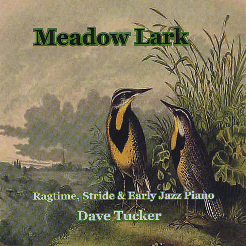 Picture of Meadow Lark