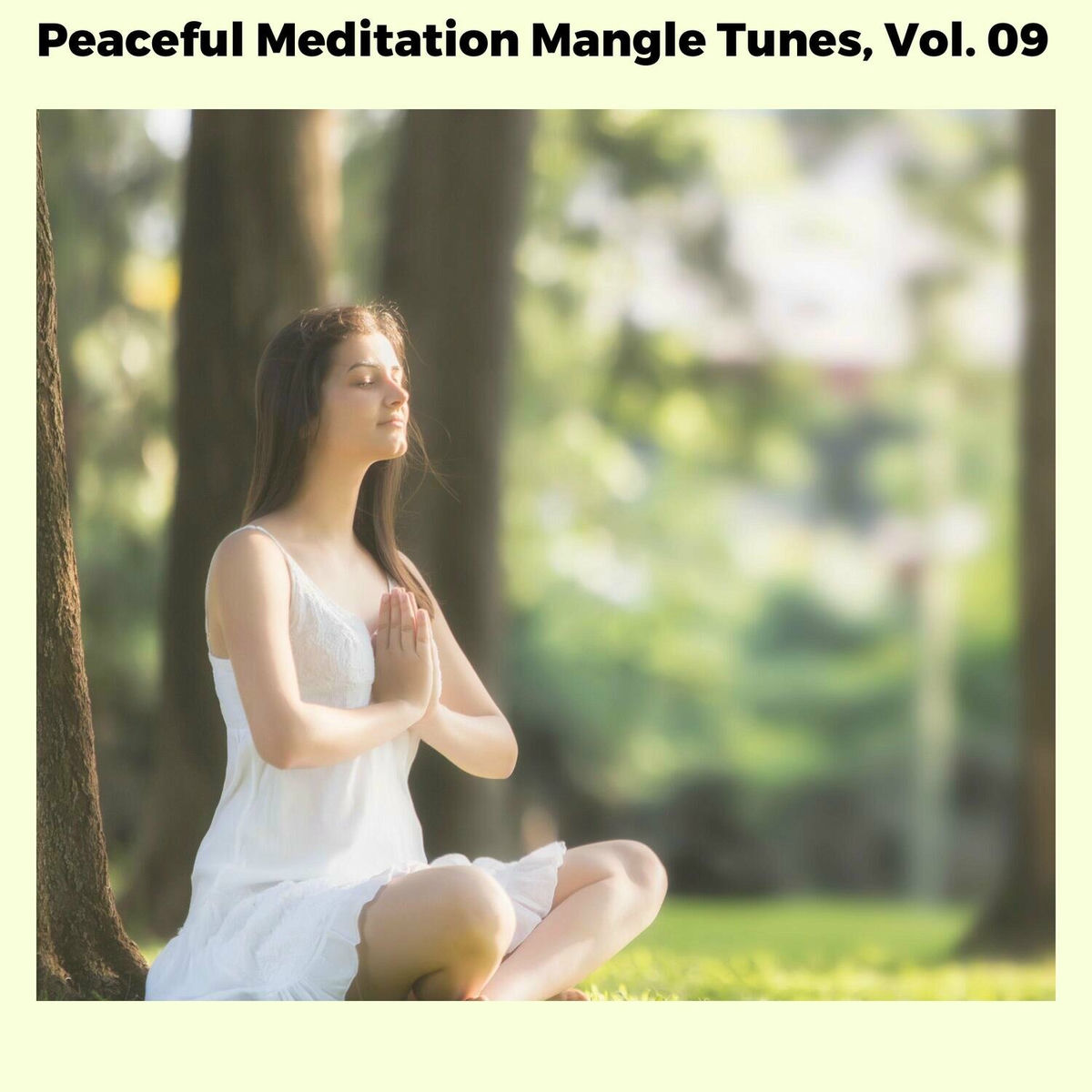 Album cover of Peaceful Meditation Mangle Tunes, Vol. 09