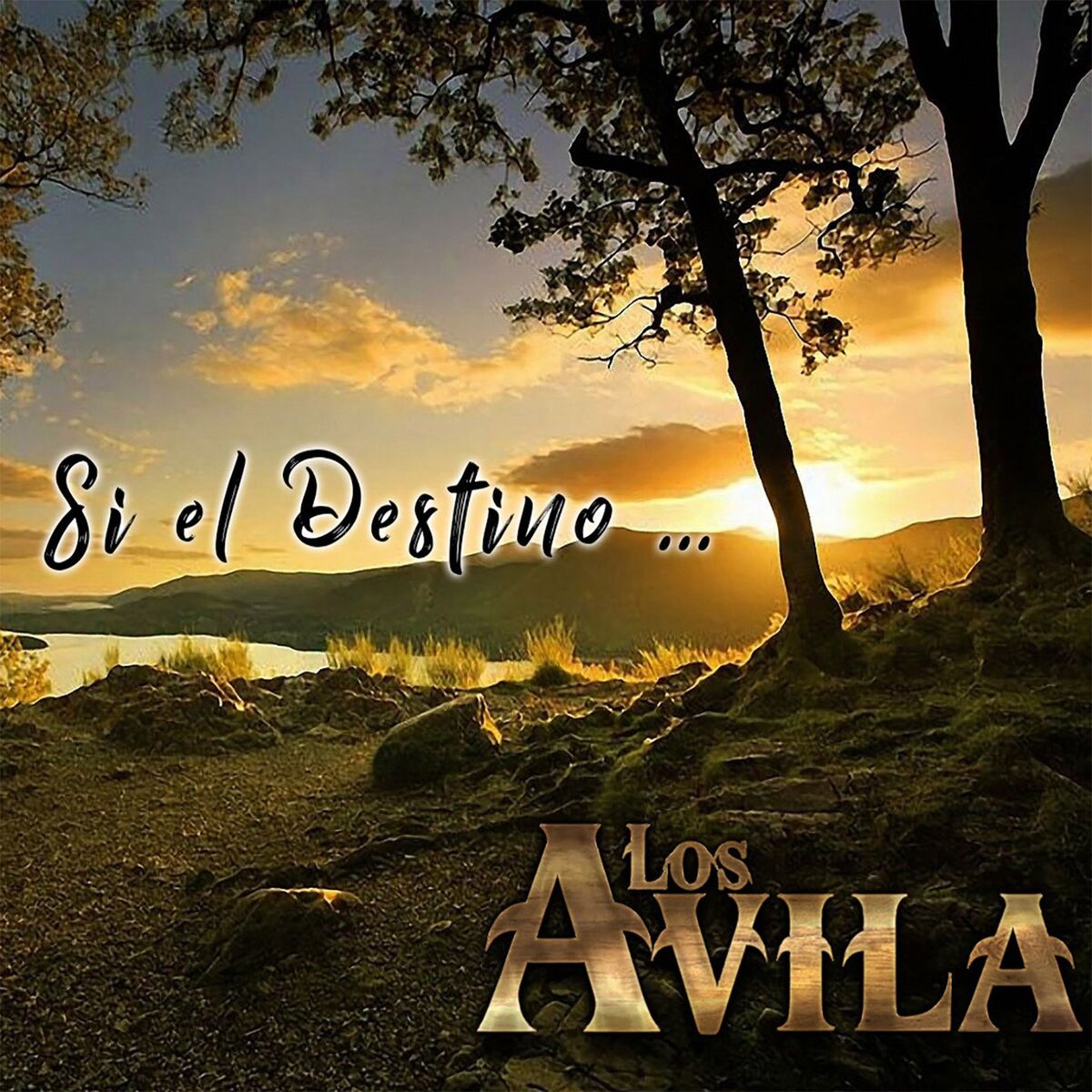 Album cover of Si el Destino...