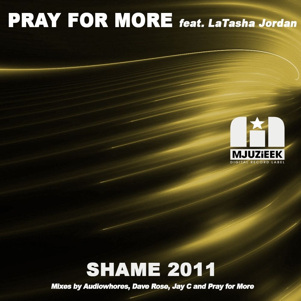 Picture of Shame 2011