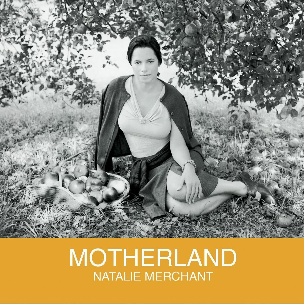 Album cover of Motherland
