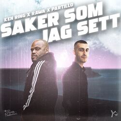 Cover of Saker som jag sett