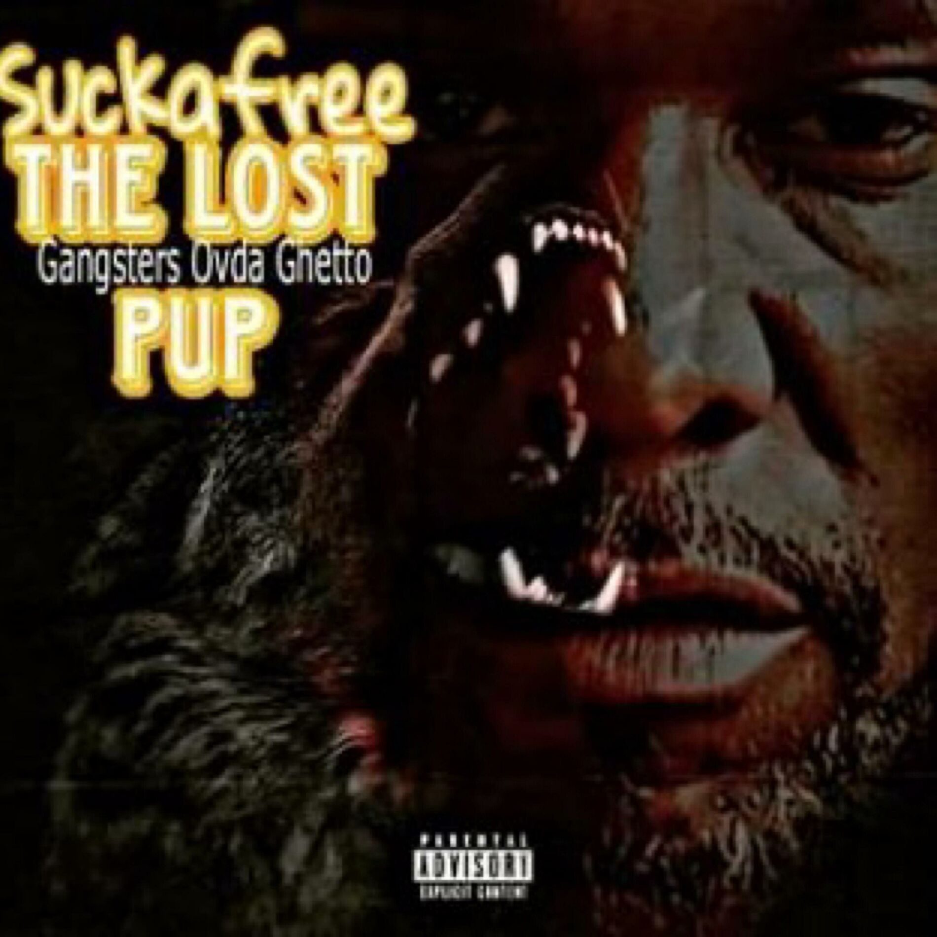 Album cover of THE LOST PUP