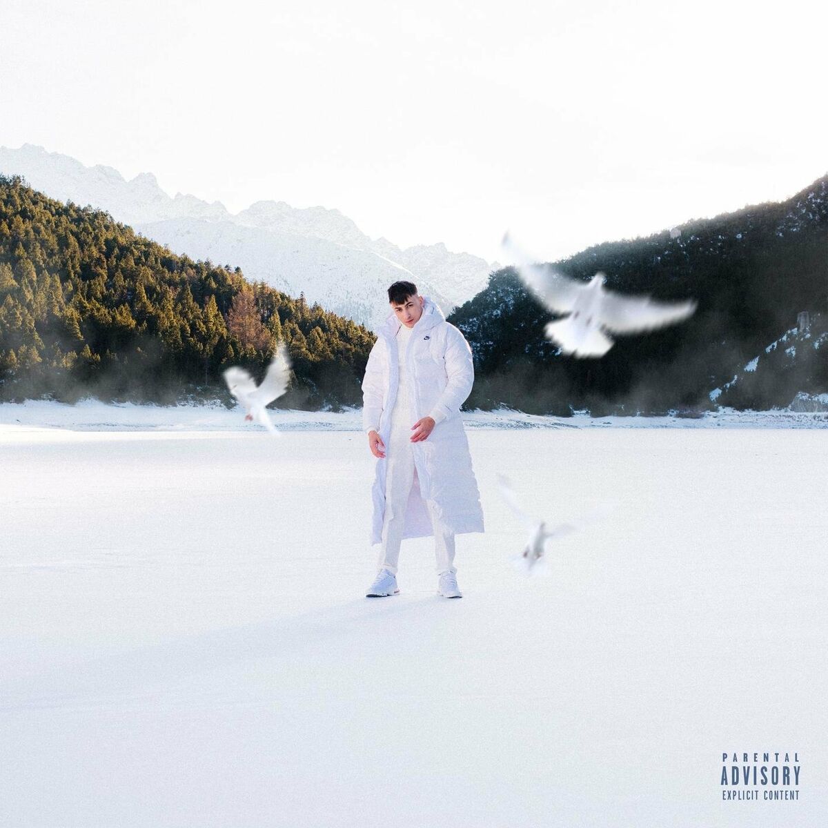 Album cover of Arai (feat. Capo Plaza)