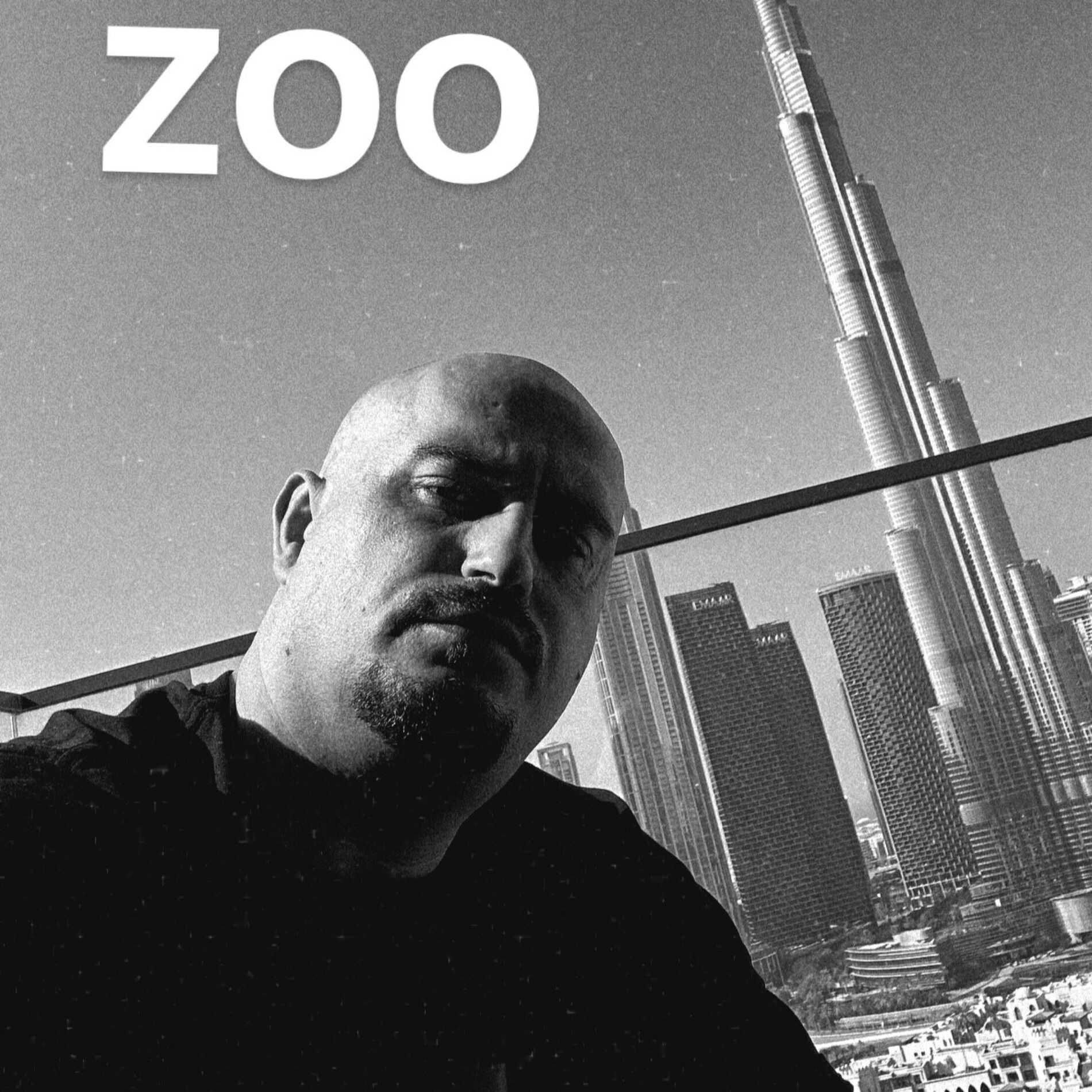 Album cover of ZOO