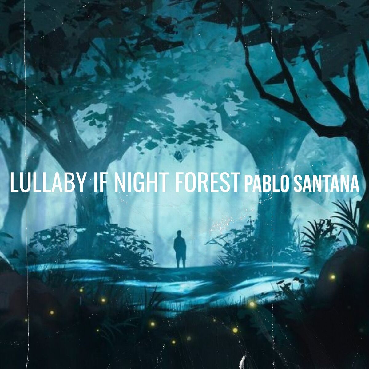 Album cover of Lullaby of Night Forest