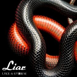 Cover of Liar