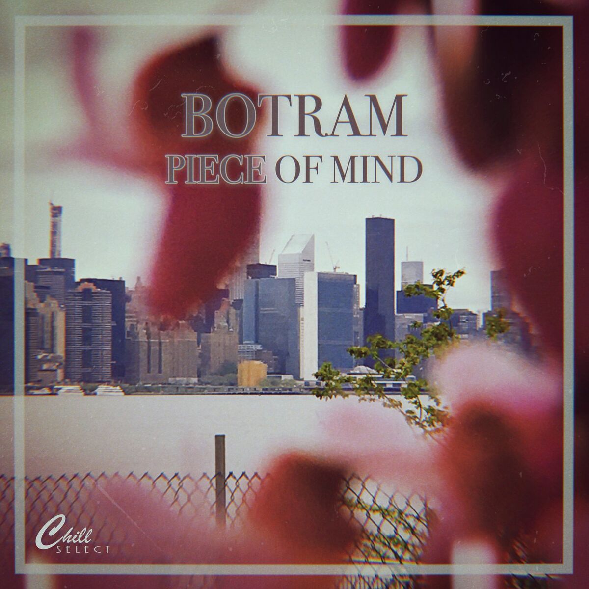 Album cover of Piece Of Mind
