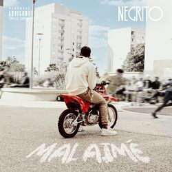 Cover of Mal Aimé