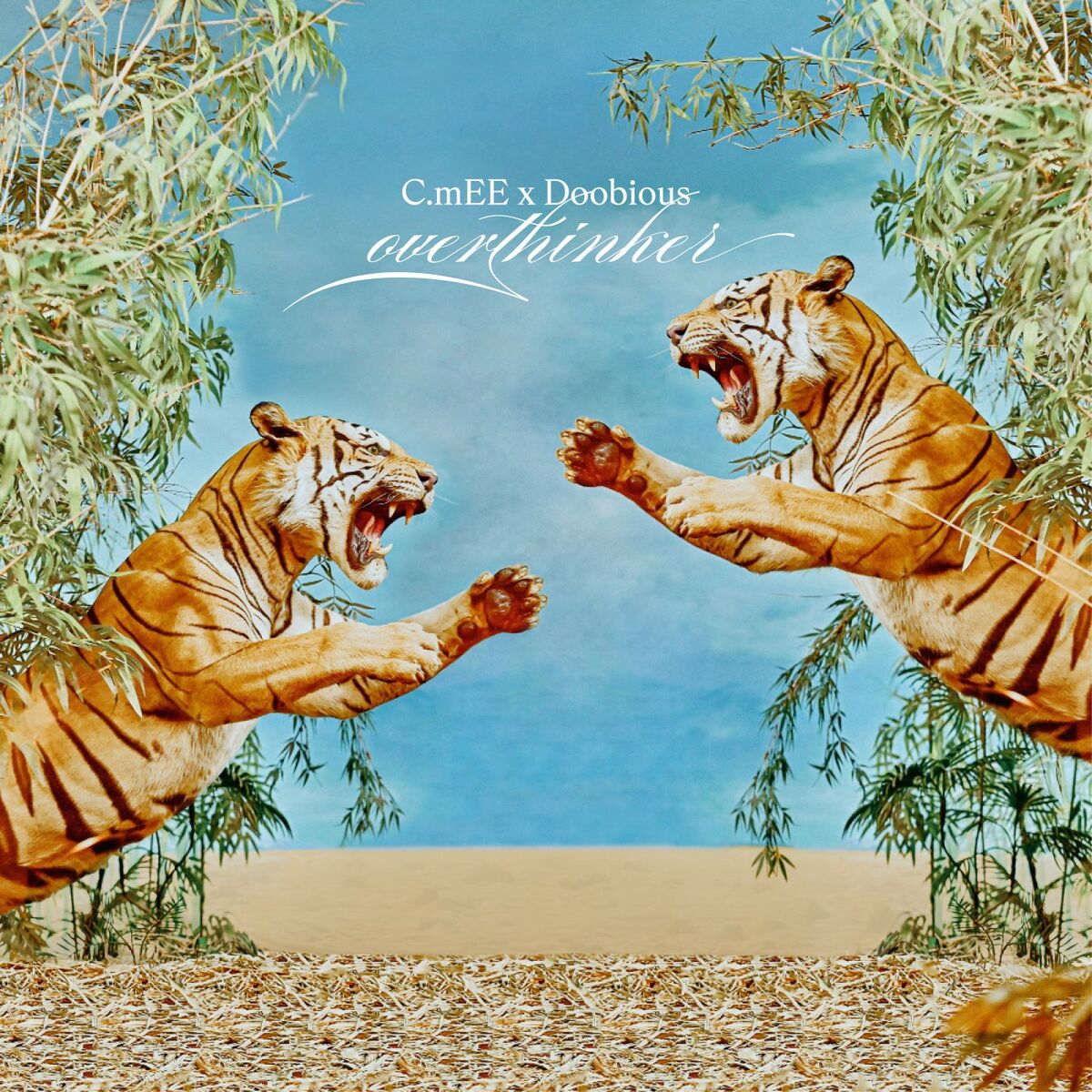 Album cover of Overthinker