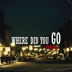 Cover of Where Did You Go