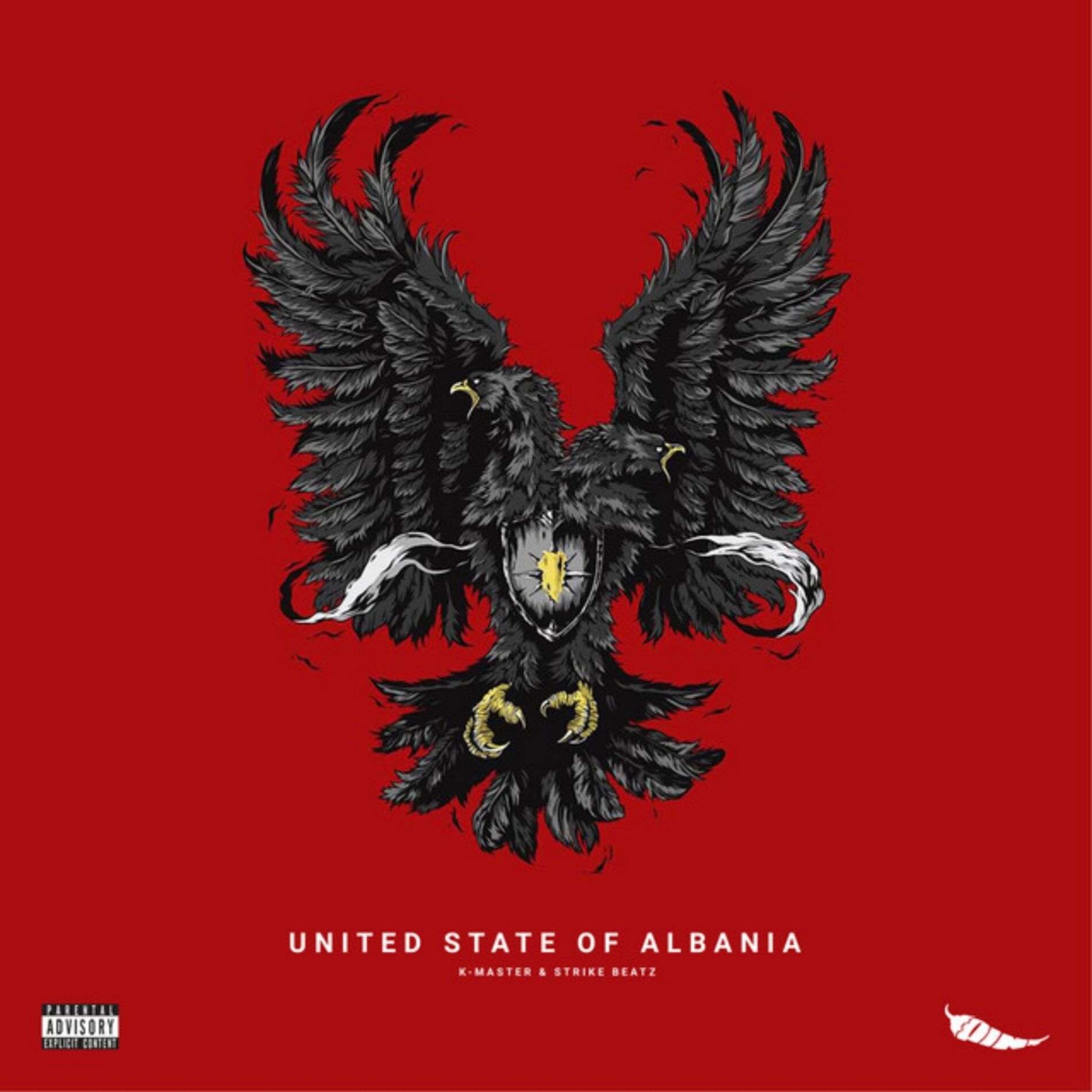 Album cover of UNITED STATE OF ALBANIA