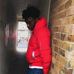 Cover of Fifteen