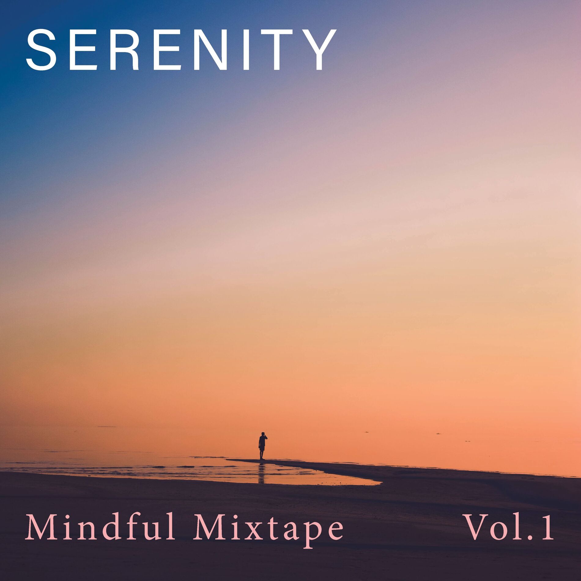 Album cover of SERENITY (Mindful Mixtape) (Vol.1)