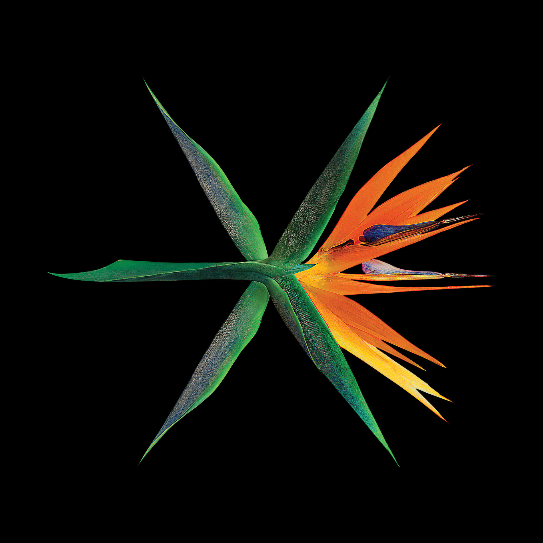 THe The （ザザ） 4th THe ThEBAND 韓国　【希少！】 EXO - THE WAR - The 4th Album (Chinese Version) | Deezer