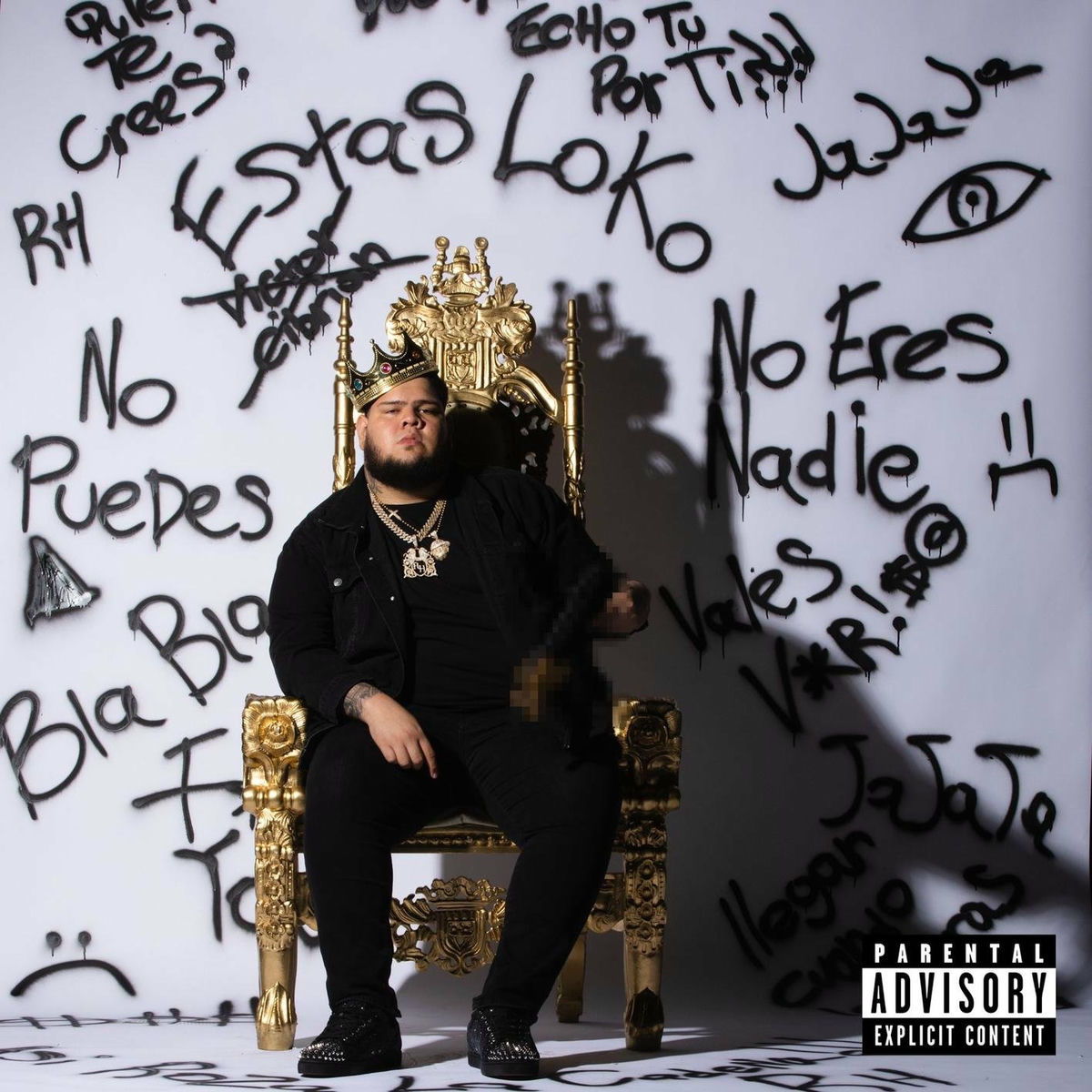 Album cover of Cargando Piedras
