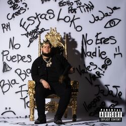 Cover of Cargando Piedras