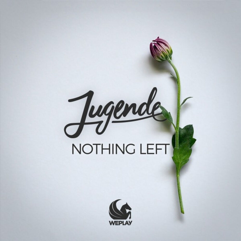 Picture of Nothing Left