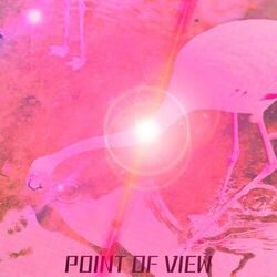 Cover of POINT OF VIEW