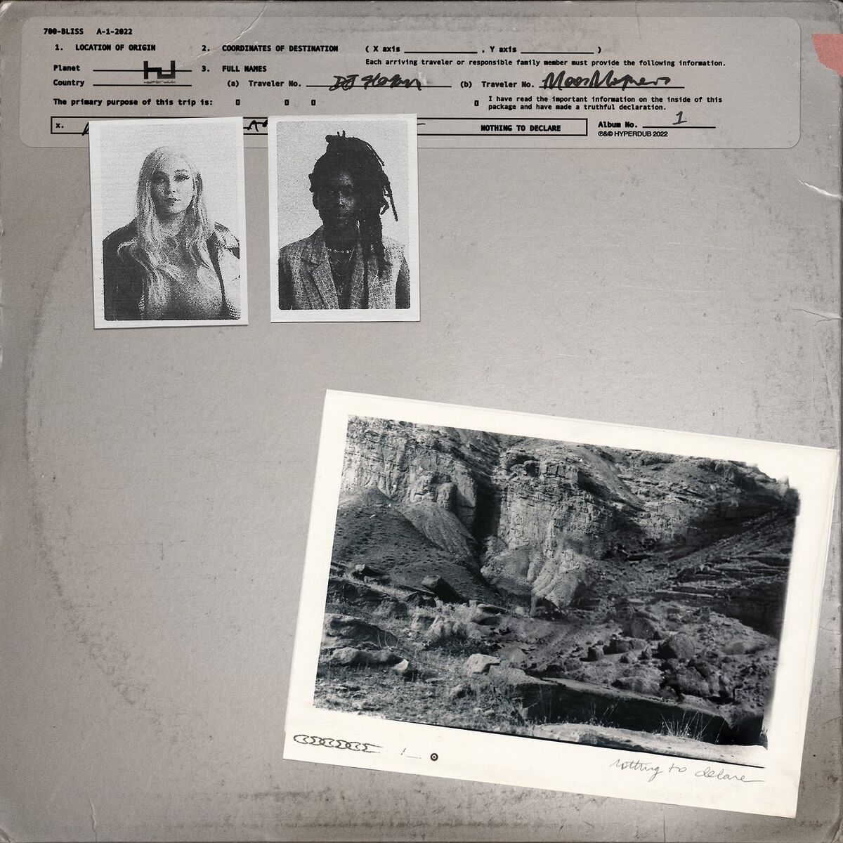Album cover of Nothing To Declare