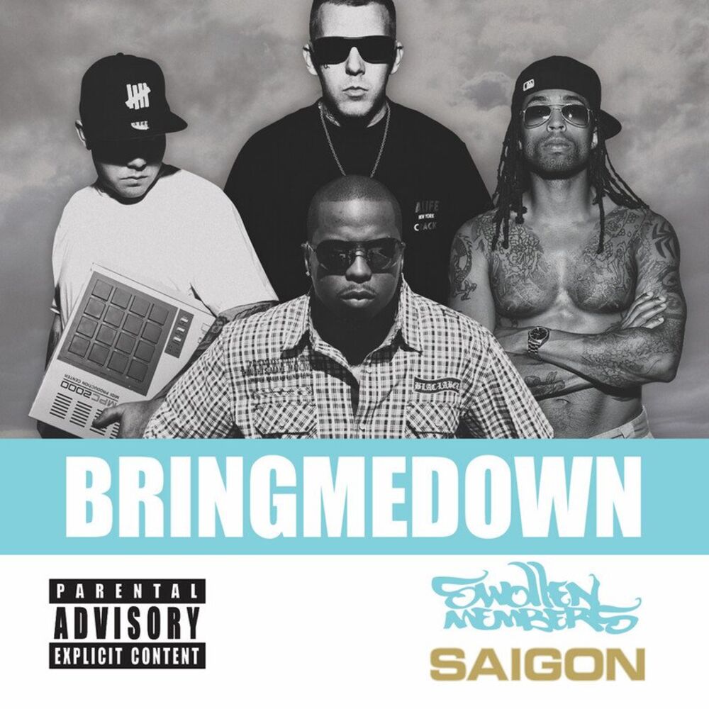 Picture of Bring Me Down