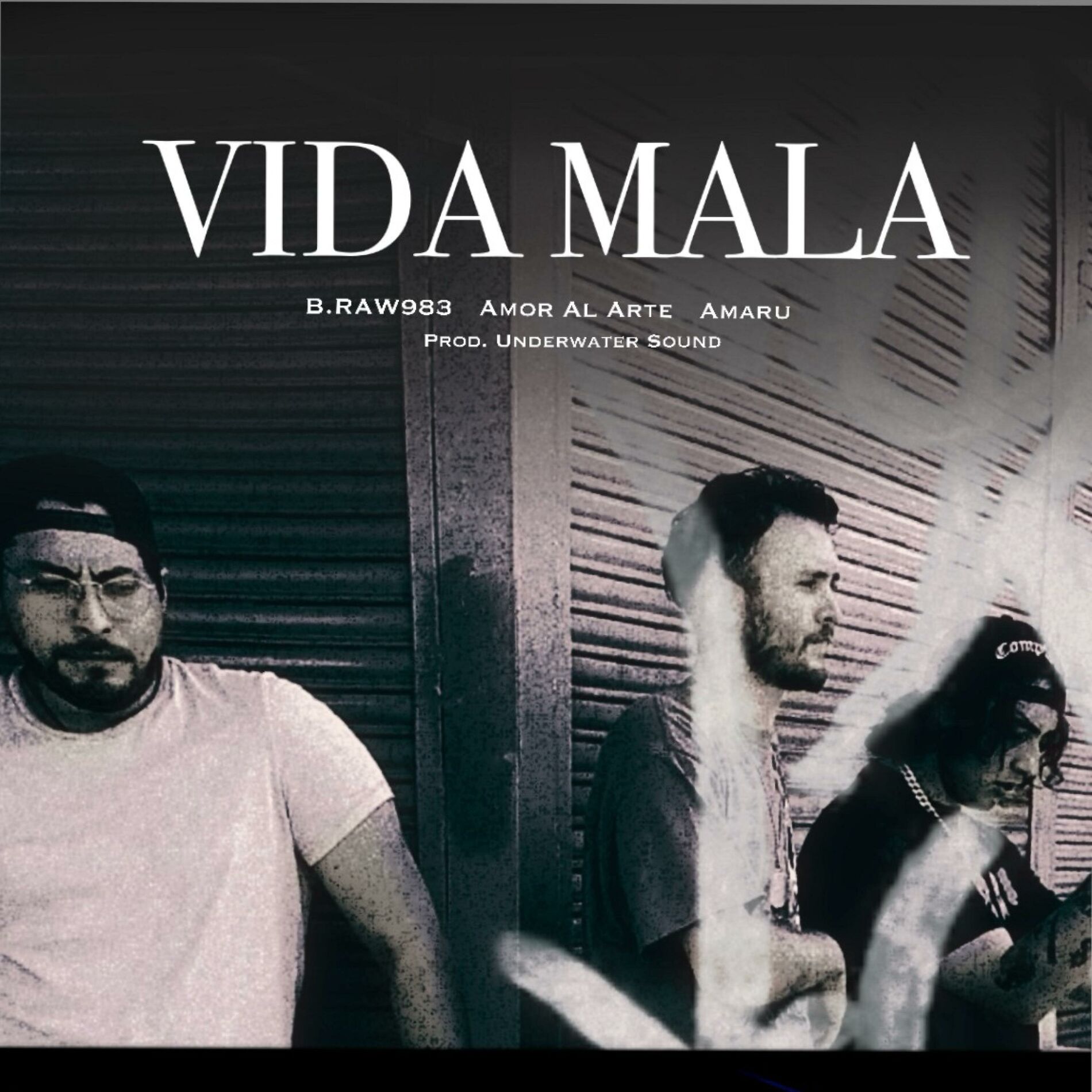 Album cover of Vida Mala (feat. Amaru, Amor Al Arte & Underwater Sound)