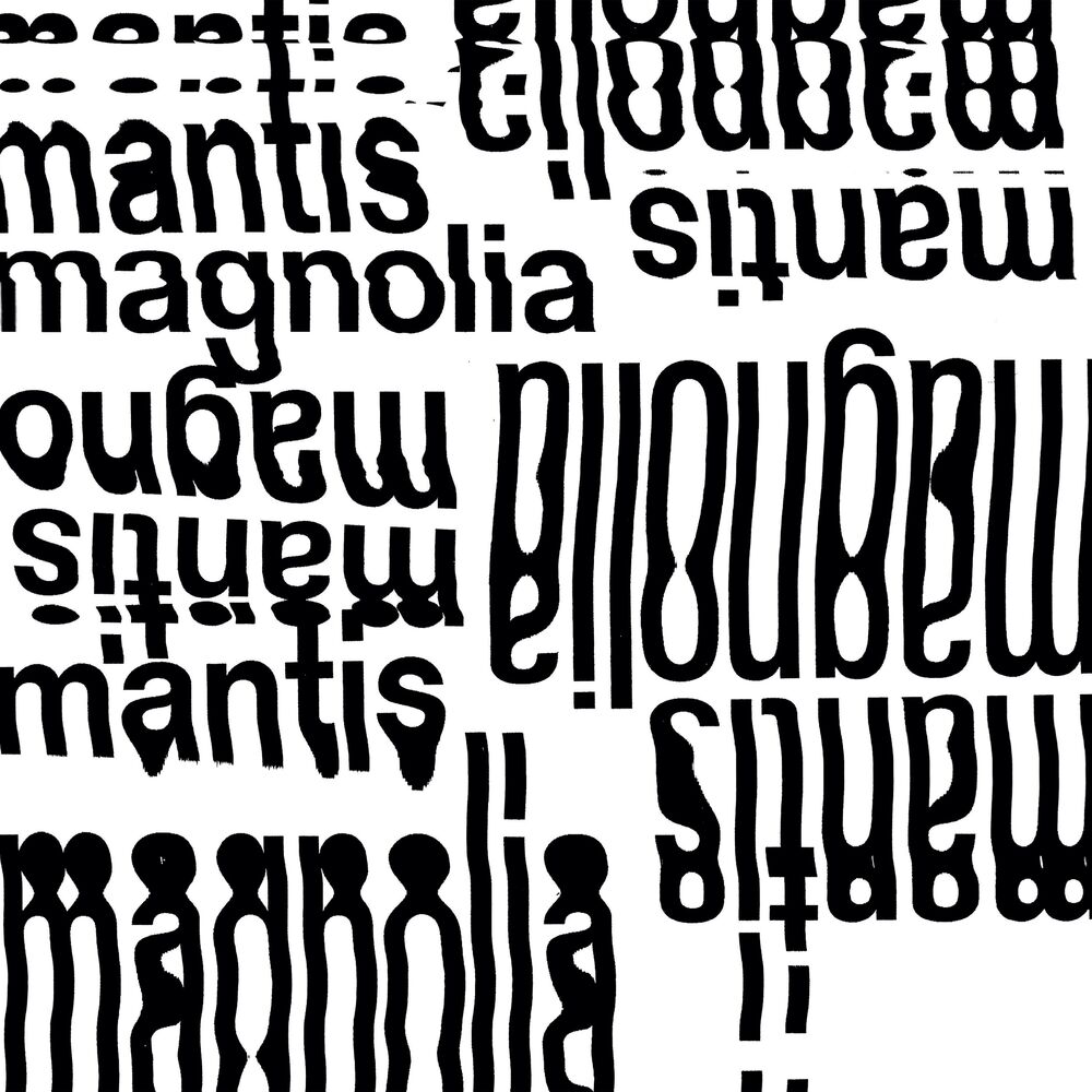 Picture of Magnolia