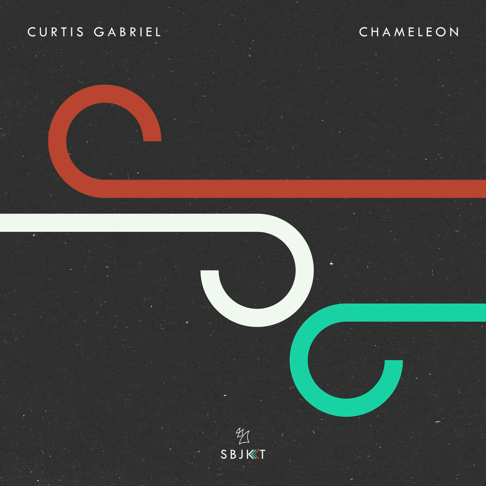 Picture of Chameleon