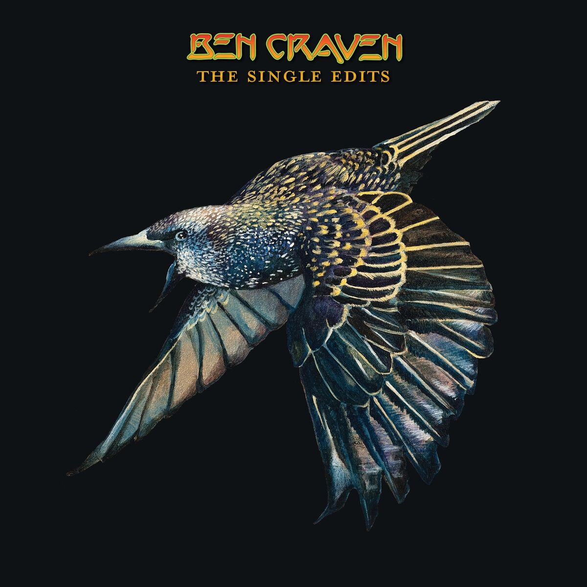 Album cover of The Single Edits