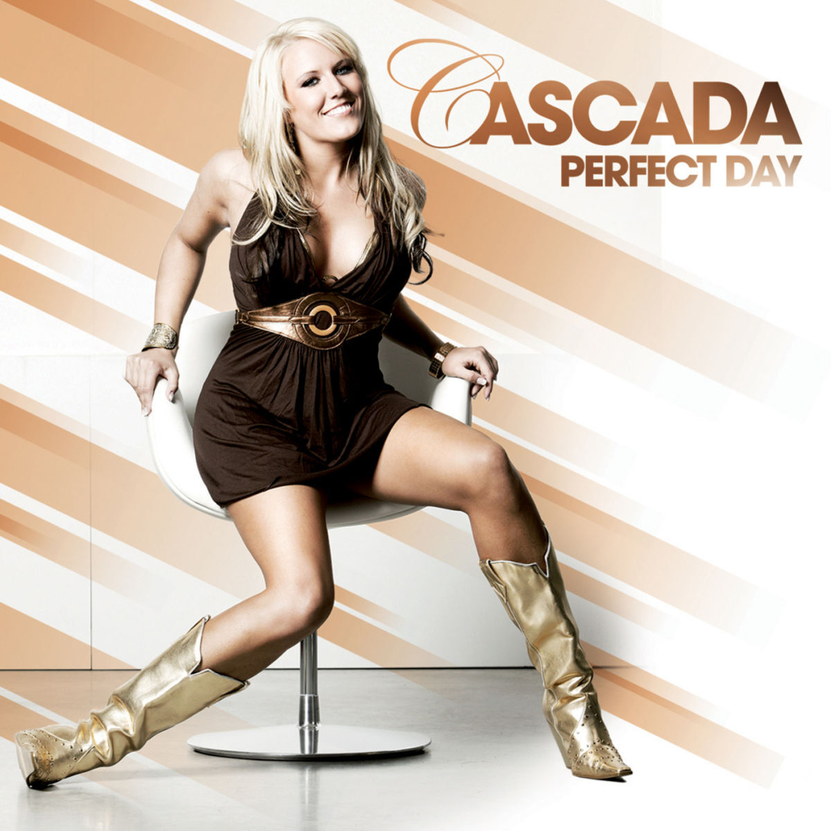 Album cover of Perfect Day