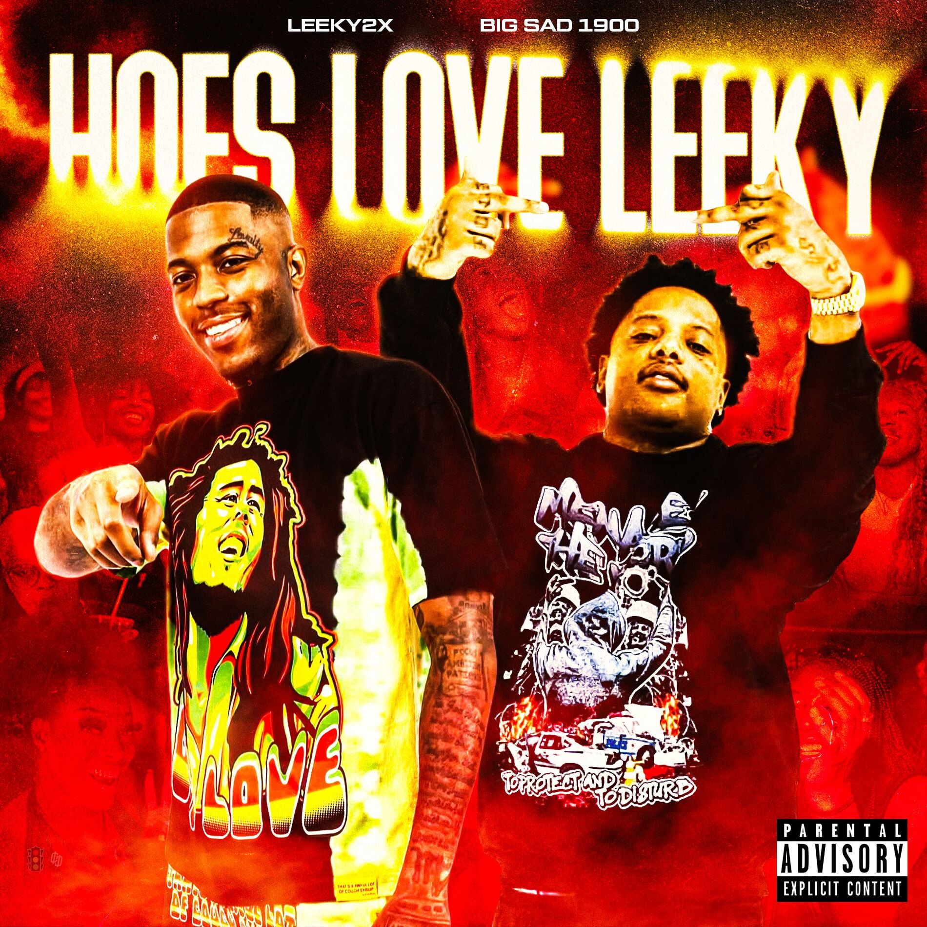 Album cover of Hoes Love Leeky