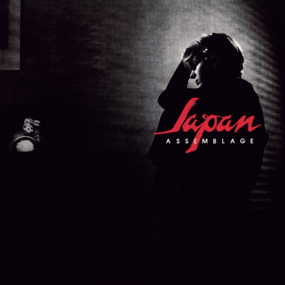 Album cover of Assemblage