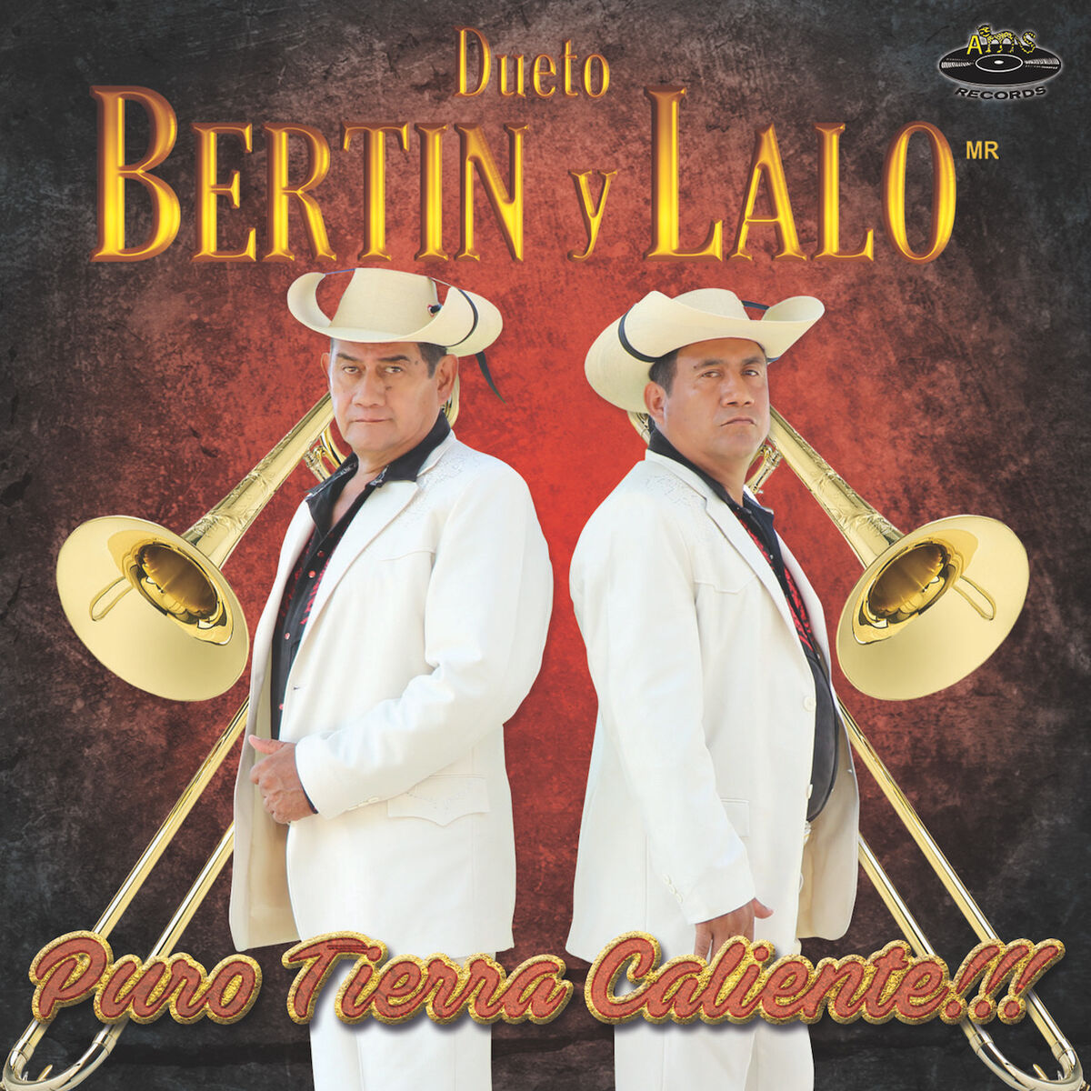 Album cover of El Anillo Grabado