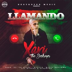 Cover of Llamando