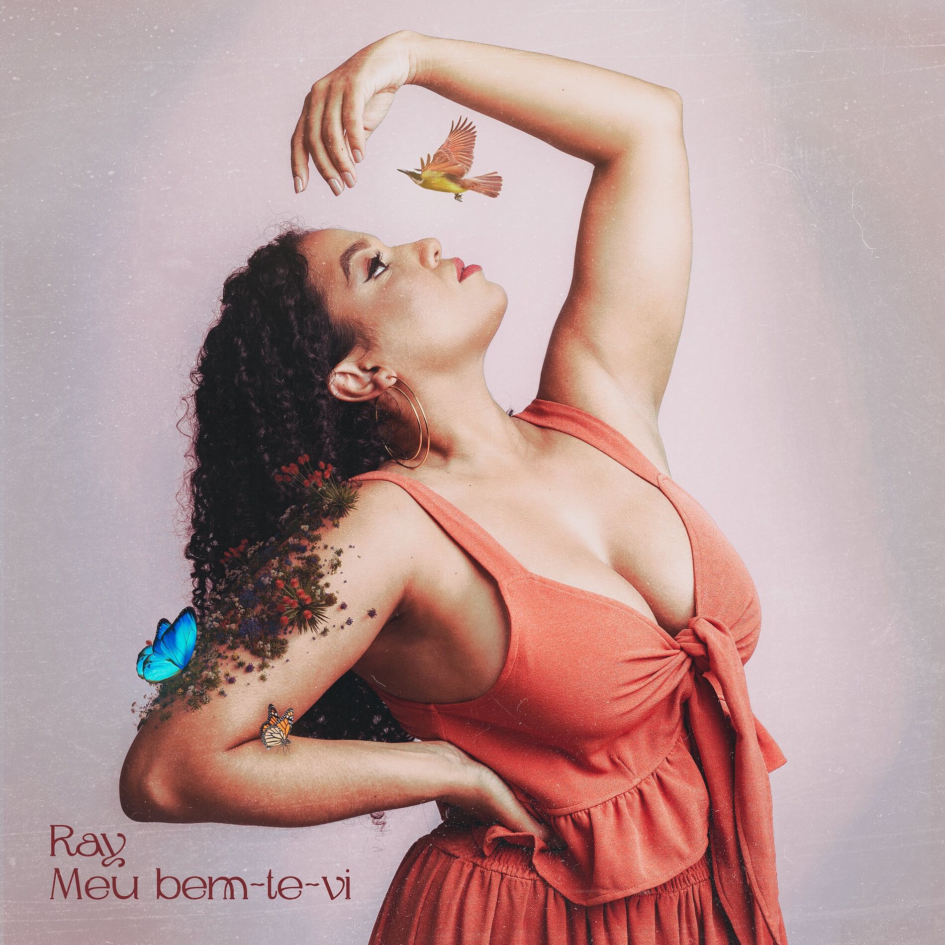 Album cover of Meu Bem-Te-Vi