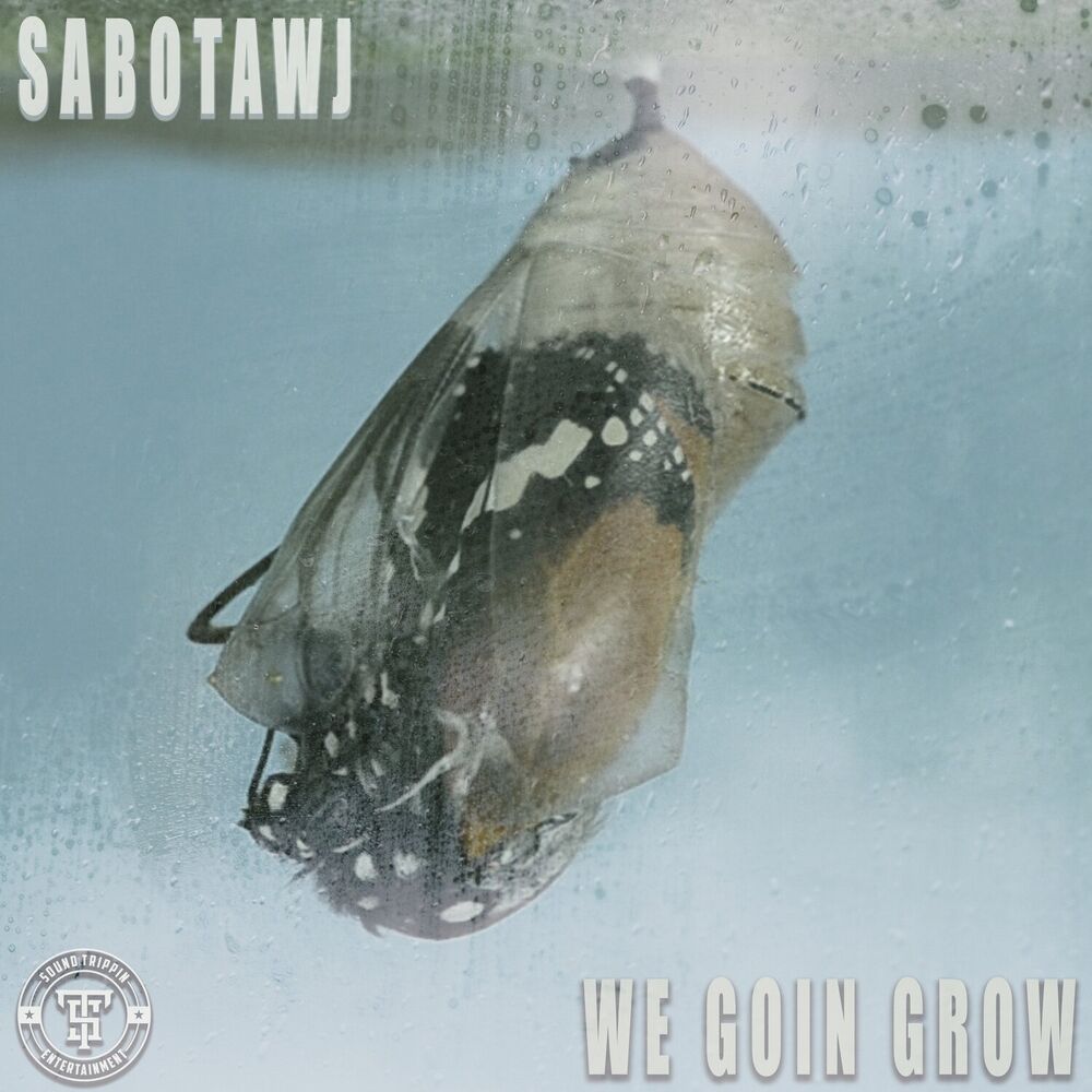 Picture of We Goin Grow