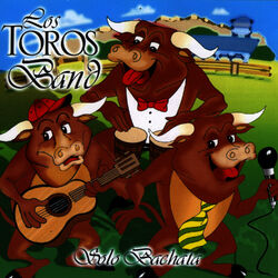 Cover of Solo Bachata