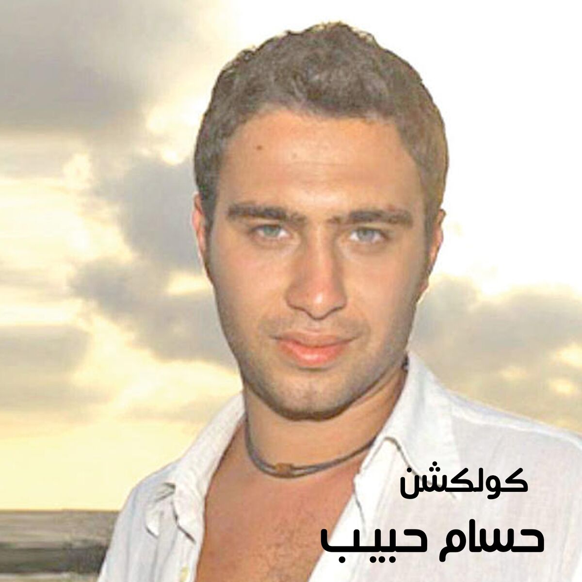 Album cover of Hossam Habib Collection